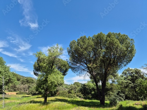 Paraje natural de la Sierra Morena, Andujar