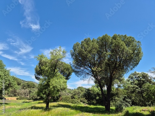 Paraje natural de la Sierra Morena, Andujar