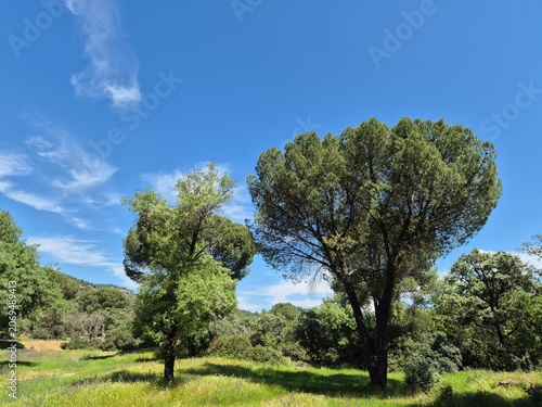 Paraje natural de la Sierra Morena, Andujar