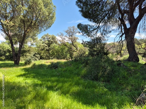 Paraje natural de la Sierra Morena, Andujar