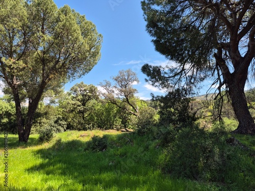 Paraje natural de la Sierra Morena, Andujar