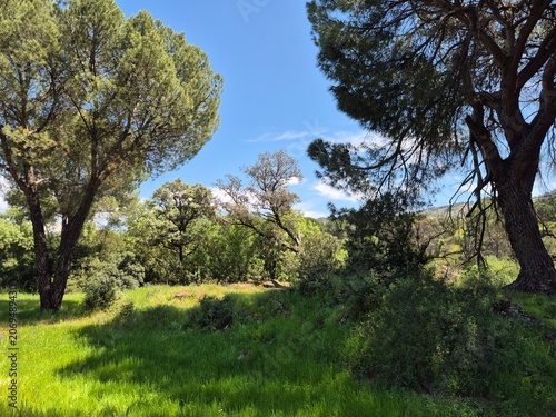 Paraje natural de la Sierra Morena, Andujar