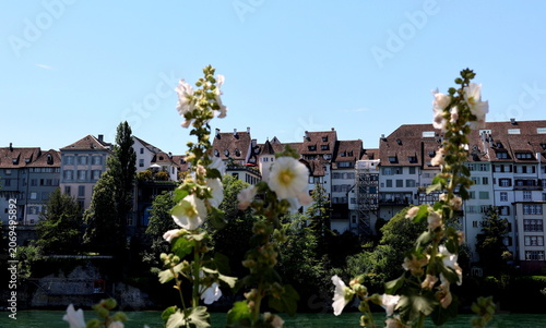 Häuser am Rheinufer in Grossbasel im Sommer