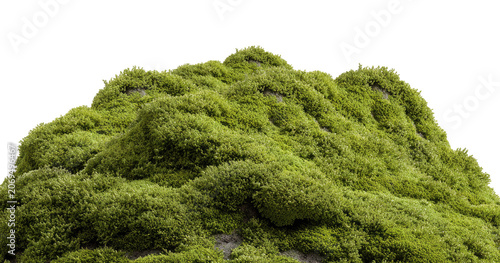 Fotografie Transparent background featuring a green mossy slope