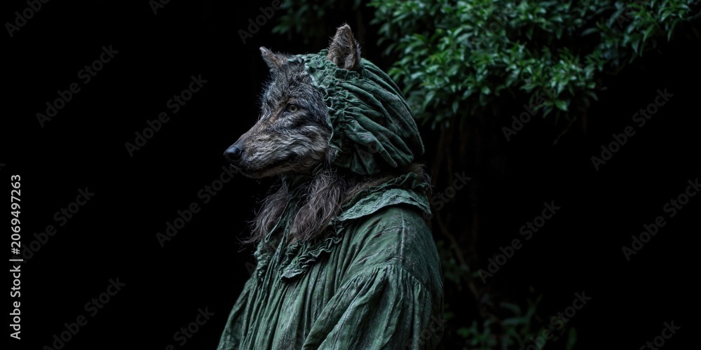 Fototapeta premium Photo of wolf dressed like grandma