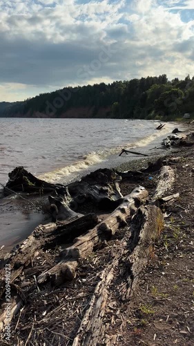 Shore of reservoir with driftwood after storm under cloudy sky. Mobile vertical video  