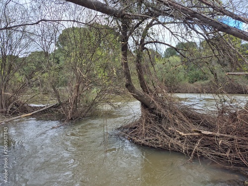 Paraje natural de la Sierra Morena y río Jandula, Andujar