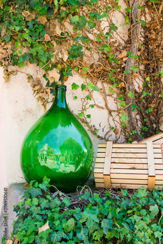 Vintage Green Glass Bottle with Ivy in Sunlight