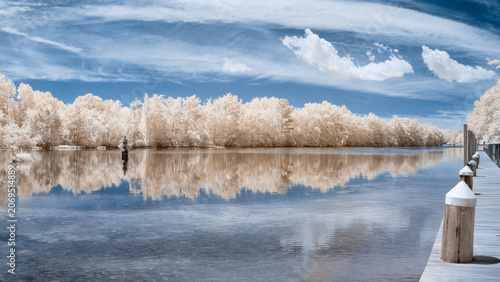 Infrared photograph of a quiet calm lake with trees in unusual surreal color