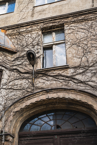 a section of an old tenement building whose walls are covered in ivy
