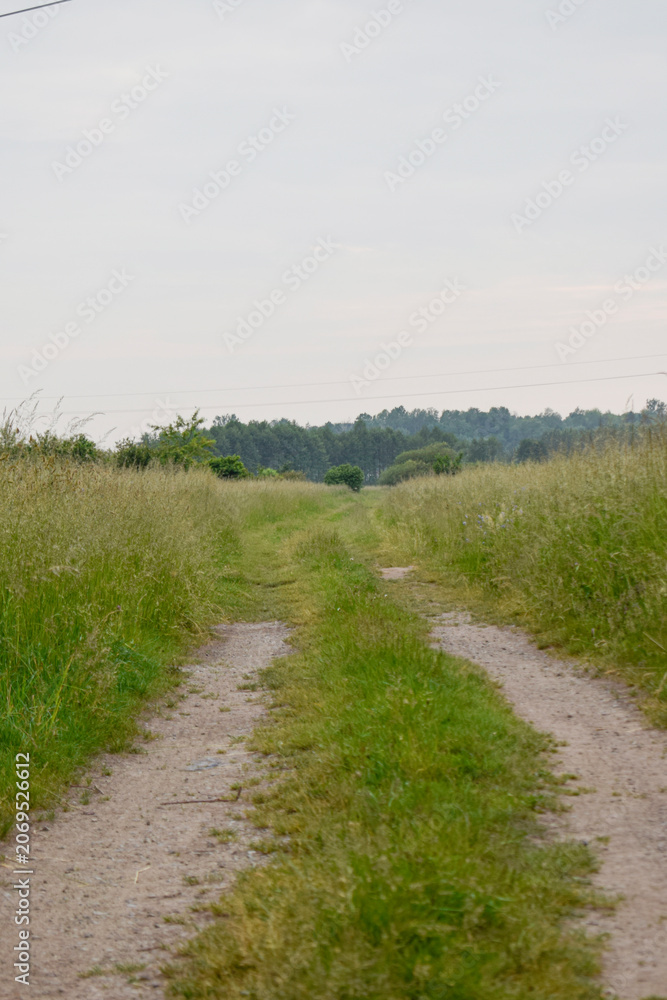 Fototapeta premium Country Dirt Road Through a Meadow