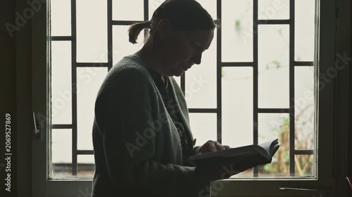 Librarian standing by window in old library office reading a book, soft daylight and quiet academic atmosphere, 4K