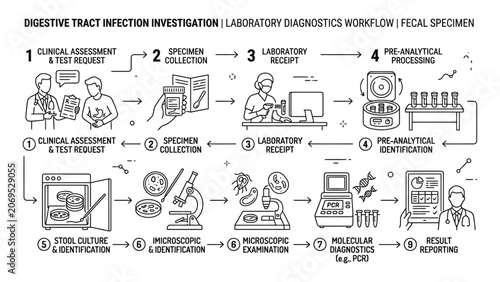 Digestive tract infection investigation laboratory diagnostics workflow.