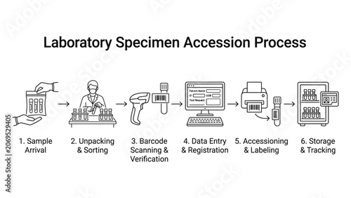 Laboratory specimen accession process steps.