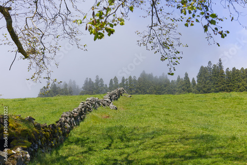 Obraz na plátně Terceira island stone wall dividing green pasture and misty forest