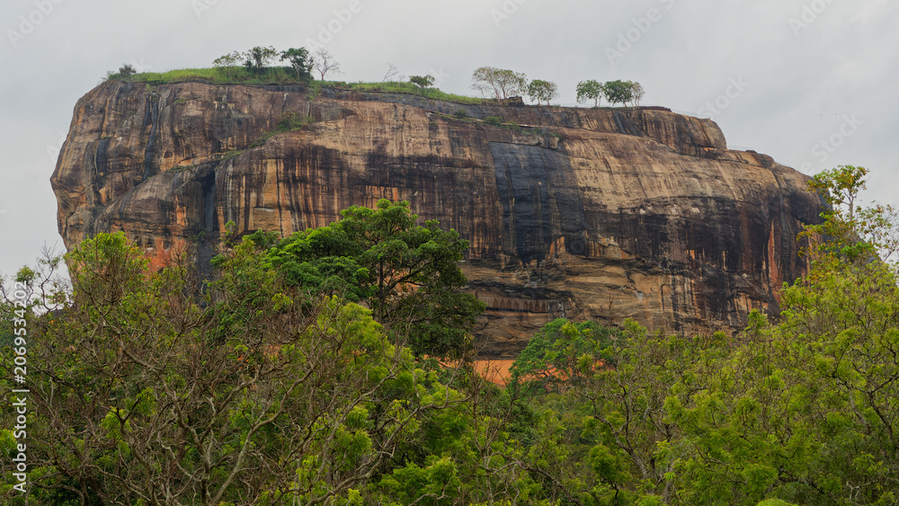 Fototapeta premium Sigiriya lion rock fortress appearing above forest canopy