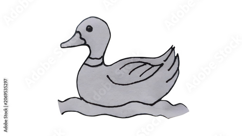 Gray duck swimming on calm water with green grass