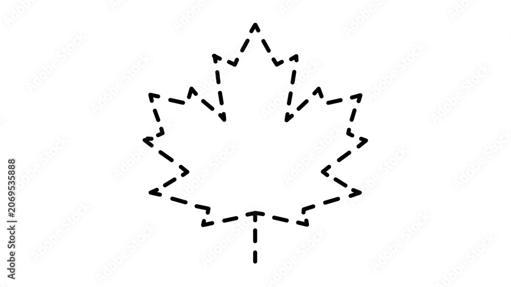 Fototapeta premium Vector illustration of a maple leaf line icon with the classic five-lobed pointed form of the Canadian maple rendered in flat minimalist line art, suitable for nature, autumn, national and botanical t