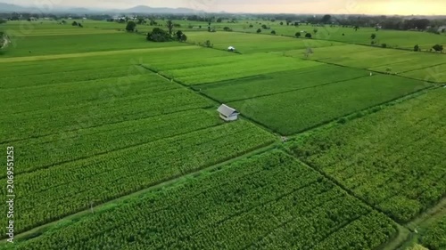 irrigation system in the field