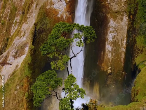 waterfall in the forest