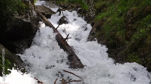 Water flows rapidly over rocks and a fallen tree in a forest stream, surrounded by lush greenery and natural elements, highlighting the dynamic scenery