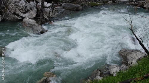 River water flows rapidly over rocks, forming white water rapids in a lush natural setting with greenery and fallen branches visible