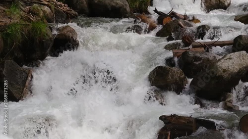 River water flows rapidly over rocks and logs, generating white foam in a lush natural setting with greenery and stones visible
