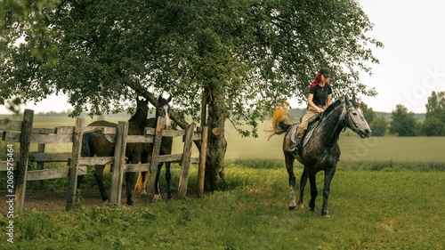 Fotografía Woman riding a dappled grey horse in a grassy field near a wooden fence