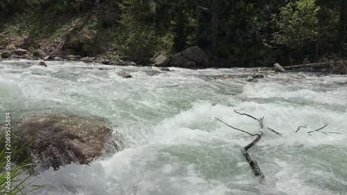 River water flows rapidly over rocks and branches, with vibrant green foliage framing the scene in a serene outdoor environment