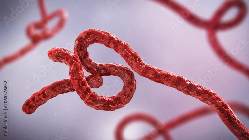 Ebola virus, a microscopic filovirus causing severe infectious disease and global health concern