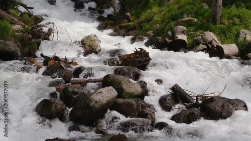 River water flows rapidly over rocks and fallen logs in a lush green environment, highlighting the dynamic movement of nature's elements