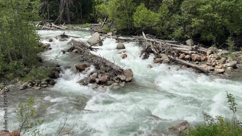 River water flows rapidly over rocks and logs, creating white water cascades, framed by vibrant green trees in a serene natural environment