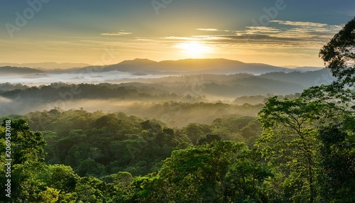 Sunrise Illuminates Misty Rainforest Canopy With Vibrant Green Foliage And Distant Hills