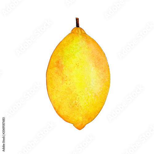 Fresh Lemon Citrus Fruit Watercolor Illustration Isolated on Transparent Background