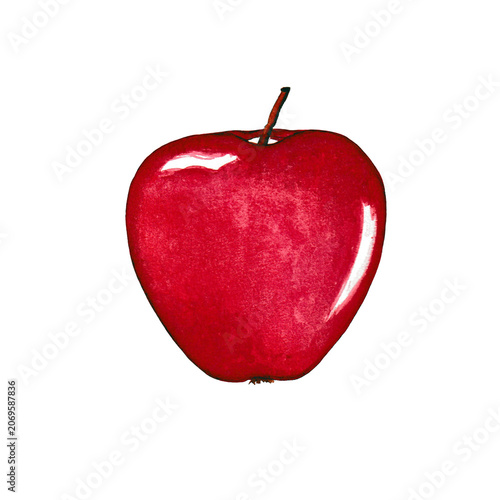 Red Apple Fruit Watercolor Illustration Isolated on Transparent Background