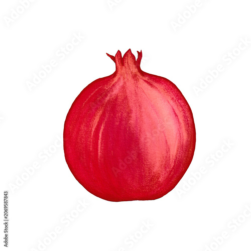 Ripe Pomegranate Fruit Watercolor Illustration Isolated on Transparent Background

