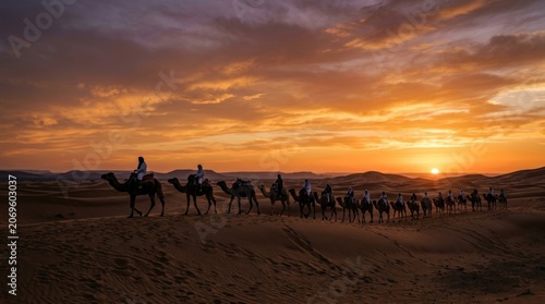 sunset in the desert