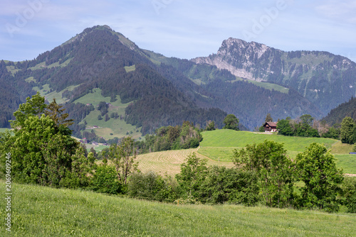 View of the Alps in Vaud canton in Switzerland on a beautiful summer day, and a traditional wooden chalet.