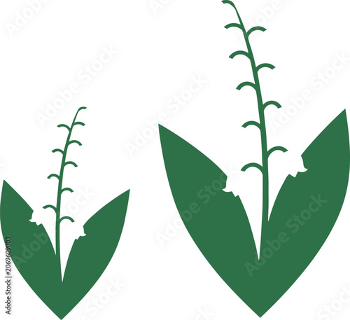 Bild auf Leinwand Minimalist Green Lily of the Valley Flower Silhouette Vector Illustration Set Fe