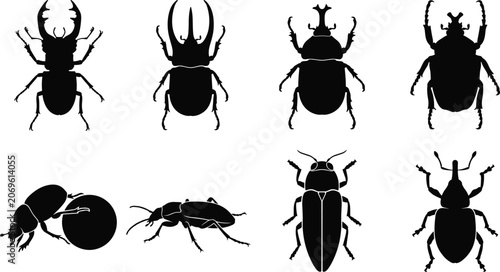 Bild auf Leinwand Beetle Silhouette Collection with Stag Rhinoceros Dung and Weevil Insect Vector