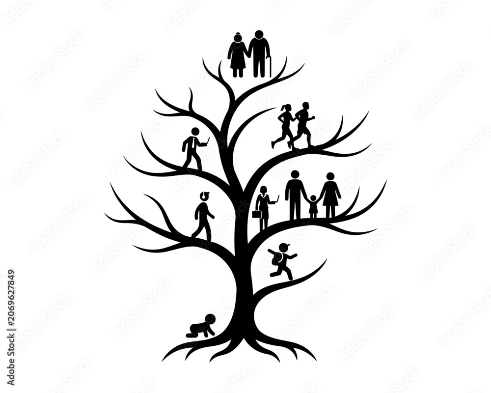 Naklejka premium Family tree vector concept showing human life cycle and generations