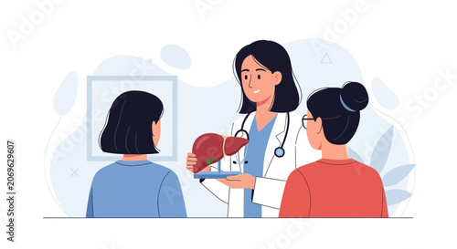 Doctor explaining liver anatomy to patients in a medical consultation, vector illustration