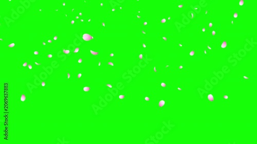 Cherry blossom petals falling animation. Pink cherry petals. Sakura leaves falling. Realistic falling blossoms. Falling petals. Japanese spring concept