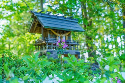 森の中にひっそりと佇む神秘的な祠と一輪のツツジ 癒やしのパワースポット