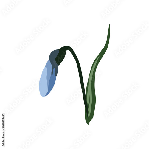 Tableau sur toile Vector illustration of a single blue snowdrop flower bud on a green stem