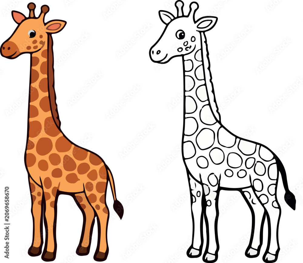 Fototapeta premium Cute Cartoon Giraffe Colored and Outline Version Set — Orange and Black White Flat Design African Animal Illustration on White Background