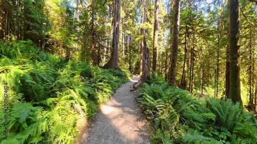 Hiking into the Sol Duc Rainforest in Olympic National Park