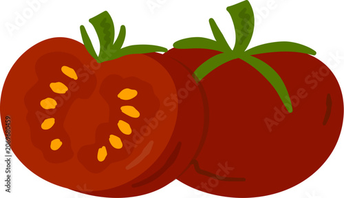 Bild auf Leinwand tomato vector illustration