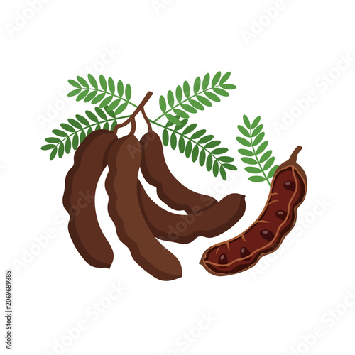 close up of tamarind and tamarind jam vector