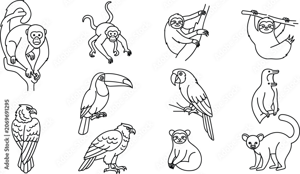 Fototapeta premium Jungle Animals Coloring Page Line Art Set with Monkey Sloth Toucan Parrot Eagle and Lemur Outline Icons Collection for Designs